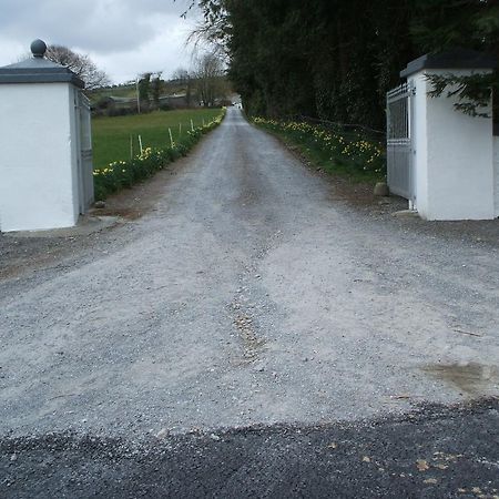 Grove Farm House Inistioge Exterior foto